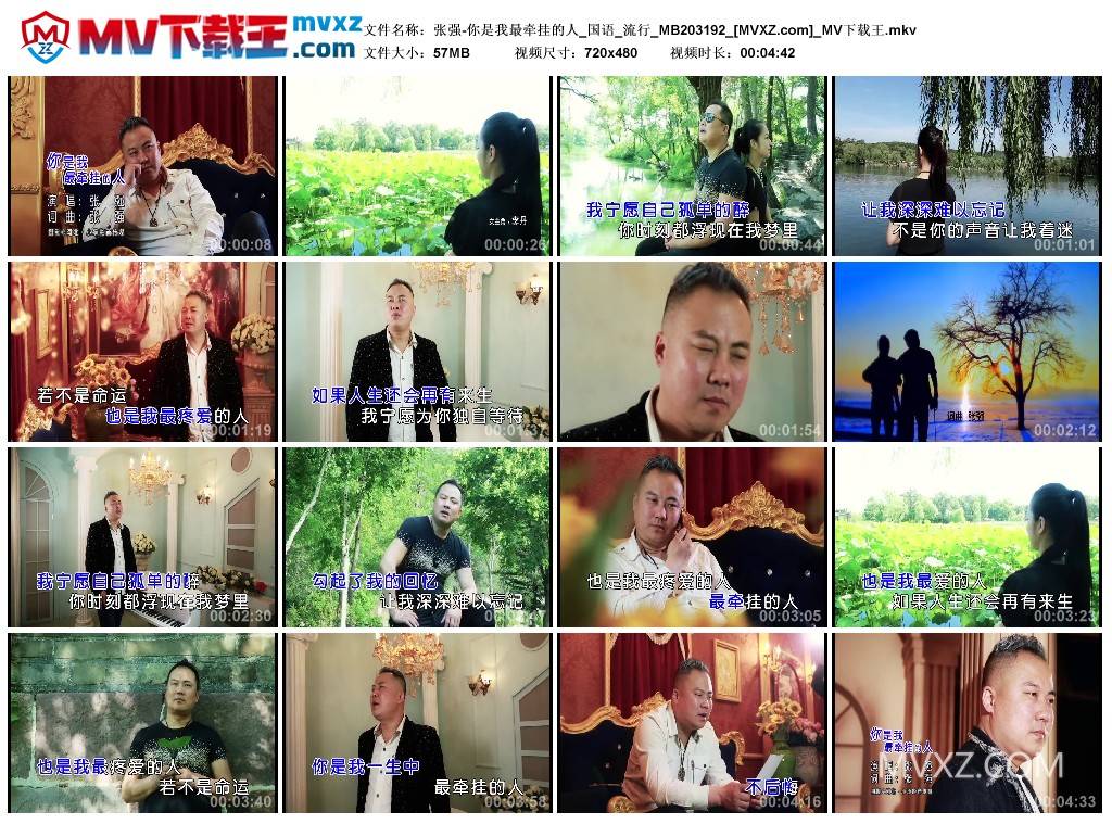张强-你是我最牵挂的人_国语_流行_MB203192